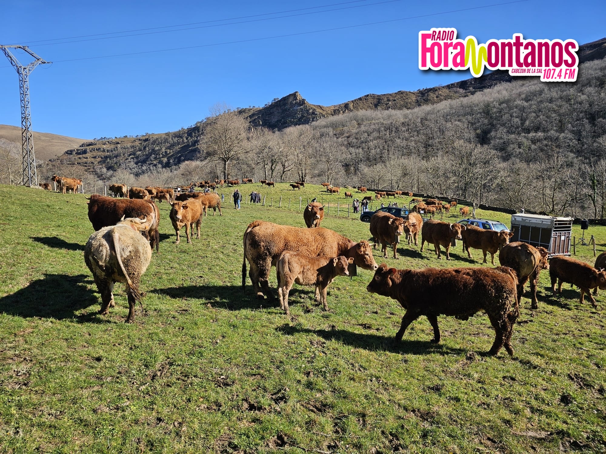 Feria de Hornero en Saja , Los Tojos